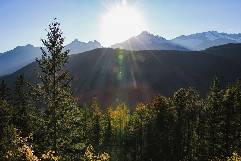 How can simplifying bring you more time, money, and energy?