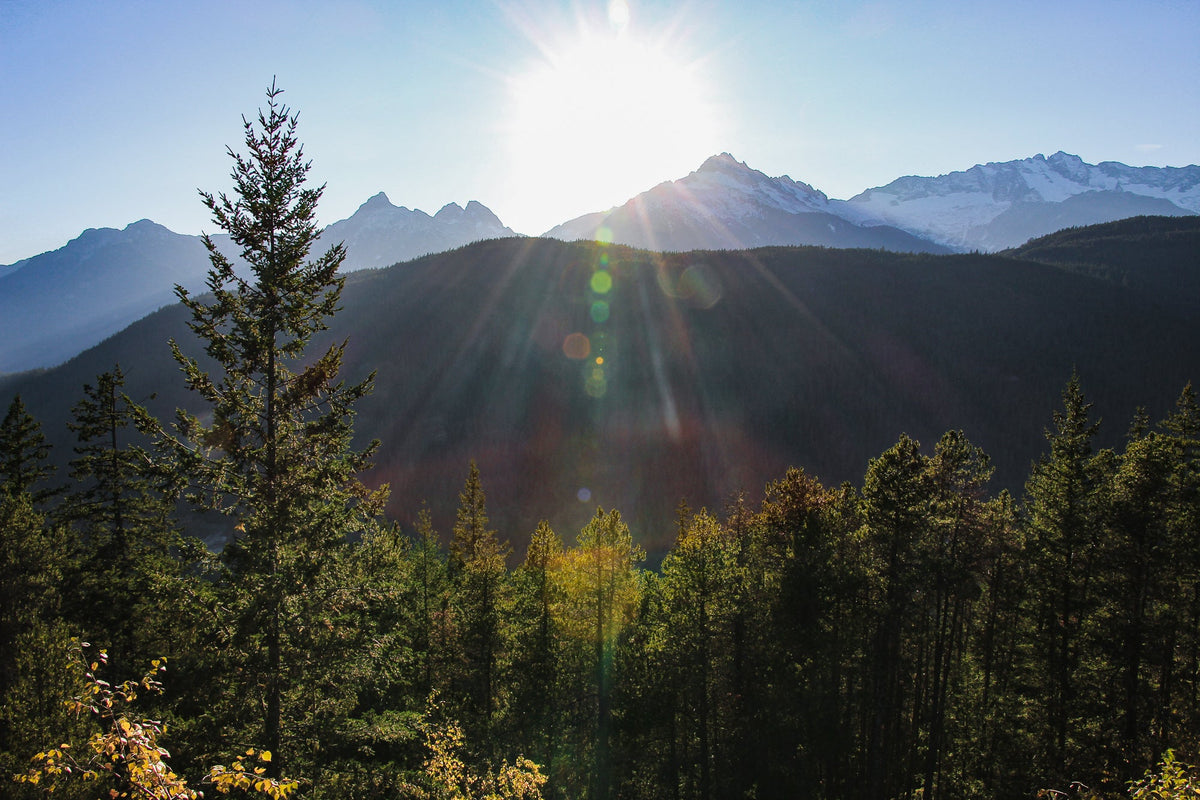 How can simplifying bring you more time, money, and energy?